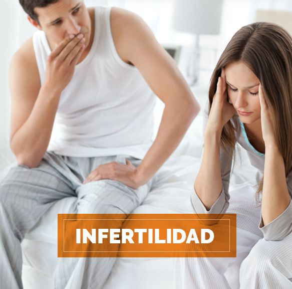 irega infertilidad