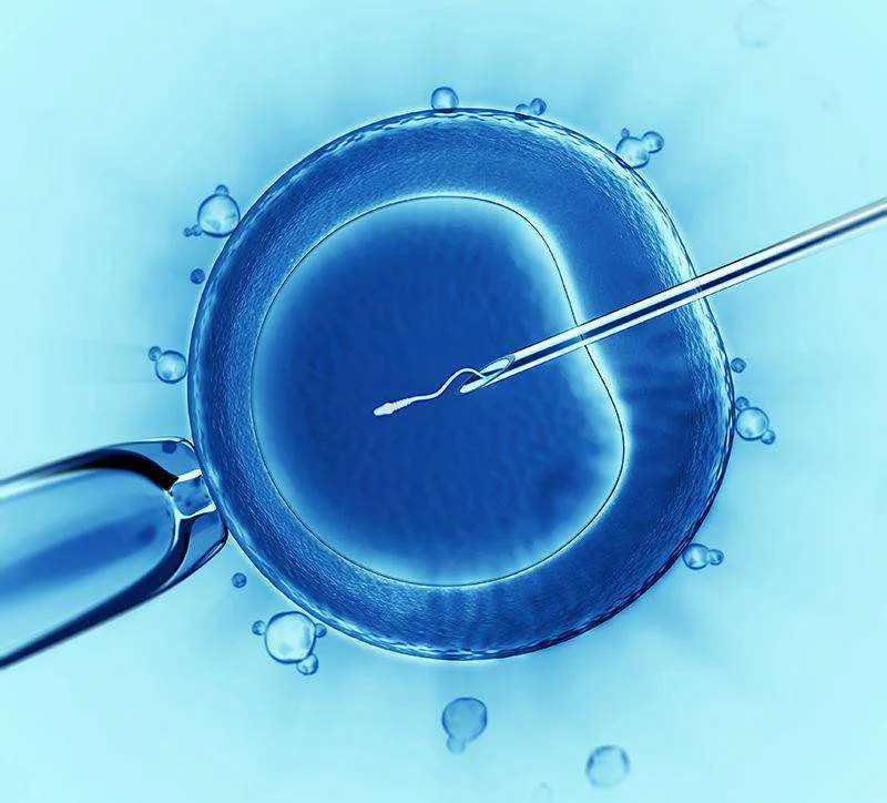 Fertilización In Vitro IREGA