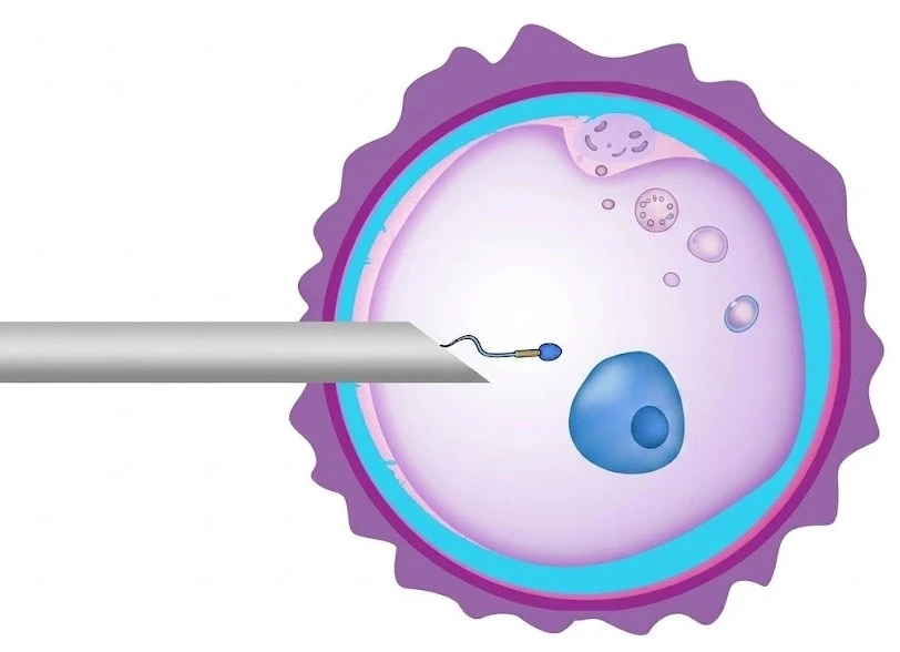 Laboratorio FIV y Selección de Sexo
